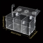 Preview: Acrylic quarantaine case 300x150x150mm (Schwimmschule)